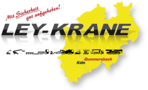 Ley Krane GmbH & Co. KG