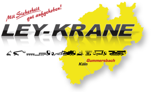 Ley Krane GmbH & Co. KG Logo